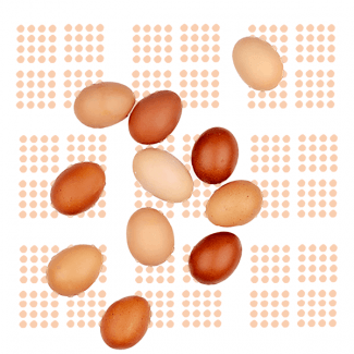 Œufs de poules fermières élevées en plein air (x6)