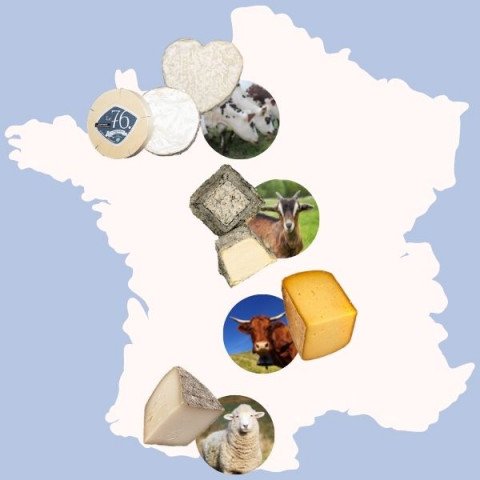 Plateau fromage Condé-sur-Vire Torigny-les-Villes (Manche - 50)