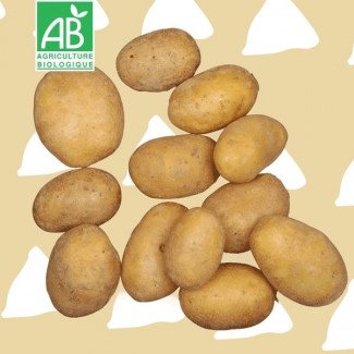 Pommes de terre BIO variété Ditta