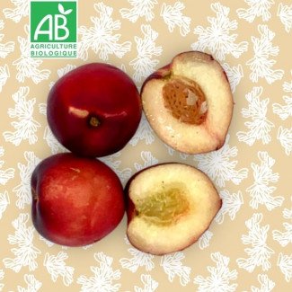 Nectarines blanches - 1kg