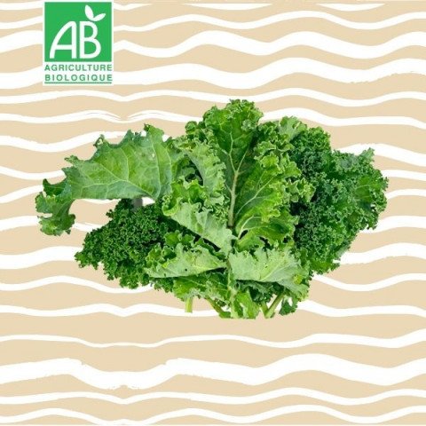 Chou Kale BIO