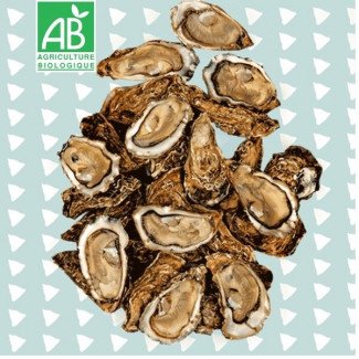 24 Huîtres naturelles pleine mer N°3 Bio