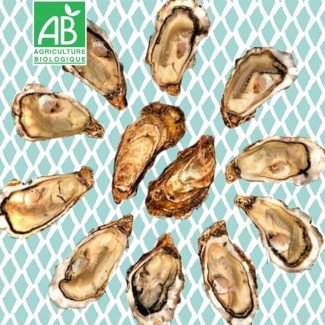 [Précommande Nouvel An]  24 Huîtres naturelles Fines de Claire N°3 Bio