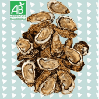 [Précommande Nouvel An] Panier découverte 36 Huîtres Naturelles bio N°3