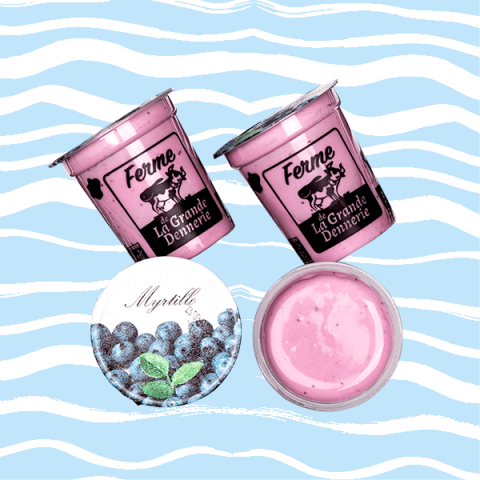 Yaourts aux fruits Myrtille Bio - 4 pots