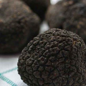 [Précommande Nouvel An] Truffe Noire Tuber Melanosporum - COUPÉE en 20Gr