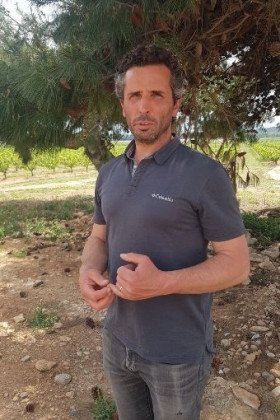 Les fruits du Roussillon