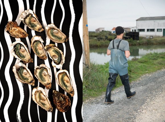 Histoire de l'huître de la préhistoire à aujourd'hui