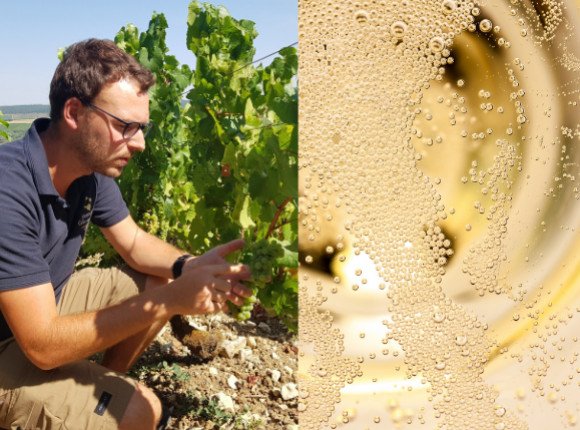 Tout savoir sur le Champagne