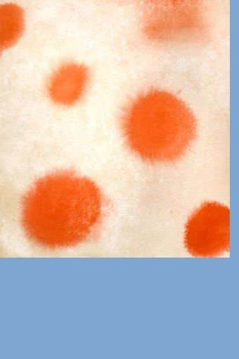 Isabelle Boinot : le trait faim du graphisme contemporain