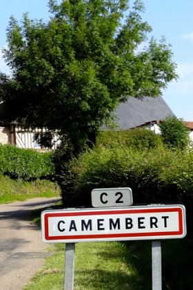 Tout savoir sur le vrai Camembert de Normandie