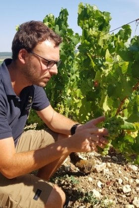 Tout savoir sur le Champagne